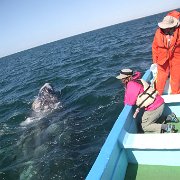 IMG 0001 2 (316)